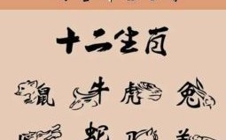 拌是什么生肖？拌字代表什么生肖