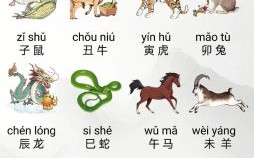 新生儿是什么生肖？十二生肖哪个是婴儿