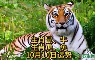 看家门口是什么生肖？看家门口打一准确动物