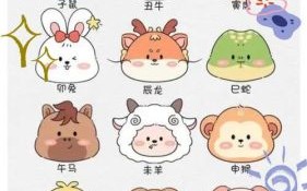 北星辰是什么生肖？星辰北半打一生肖