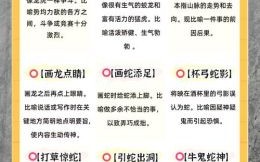 鼠目过光是什么生肖？十二生肖谁是鼠目寸光