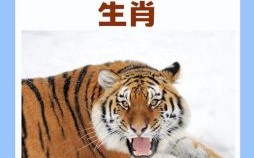 起模范的是什么生肖？英雄的动物指什么生肖