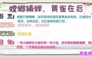 螳螂捕蝉是什么生肖？螳螂捕蝉打一最佳动物