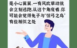 小鸟是什么生肖？小鸟打准确一肖