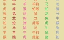 十有七八是什么生肖？十有七八打一生肖数字