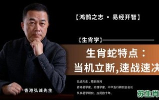 当机立断是什么生肖？当机立断打一正确动物