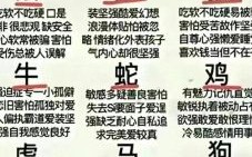 窝肖是什么生肖？家里生肖指什么肖