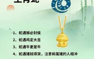 恩重如山是什么生肖？恩重如山打一个正确生肖