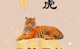 2026年生肖虎运程：今年运势如何突破？事业财运能否迎来高峰？