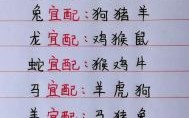 12岁生肖是什么生肖？12生肖最佳婚姻配对表