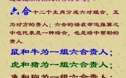 画坛奇迹是什么生肖？6合生肖是哪6个