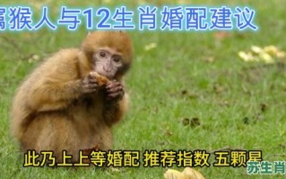 1992年是什么生肖？92年猴的婚姻最佳配偶