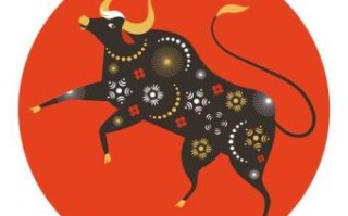 金花指的是什么生肖？12生肖哪一肖是金花