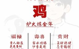 2026鸡年生肖运程详解，你的运势将如何变化？事业财运有何关键提示？