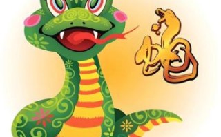 蛇头鼠眼是什么生肖？蛇头鼠眼最佳一肖