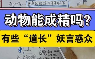 讹言惑众是什么生肖？讹言惑众打一正确动物