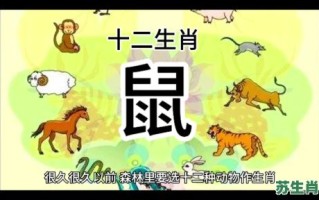 仰是什么生肖？指什么生肖动物仰