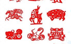 跳动动物是什么生肖？跳代表什么生肖