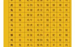 2生肖是什么？十二生肖最旺数字