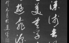 莫学武陵人是什么生肖？莫学武陵人打一数字