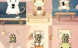 双关是什么生肖？十二生肖谁是双关