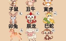 六岁是什么生肖？6代表什么生肖