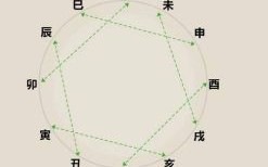 大熟倒灶是什么生肖？飞针走线熟生巧打一生肖