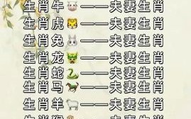 红双的生肖是什么生肖？生肖中双红肖指的是哪一肖