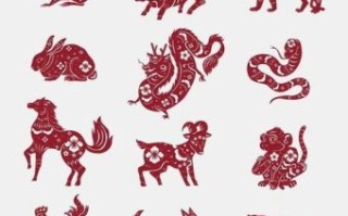 两边对称 是什么生肖？左右对称的动物