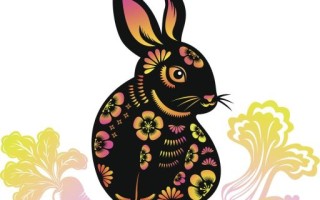 田字是什么生肖？田肖的正确答案