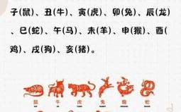 七上八落是什么生肖？7上8落最准确生肖