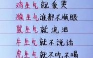 恼是什么生肖？恼打一正确生肖