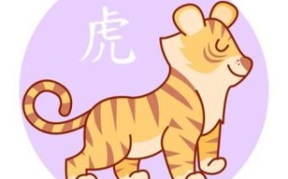 腐是什么生肖？腐字打一准确生肖