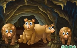 住山洞是什么生肖？住山洞正确答案一肖