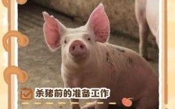 四屠夫宰猪是什么生肖？看一屠夫宰猪