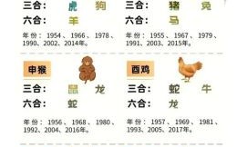 绿叶扶花是什么生肖？三花一叶附绿枝是什么生肖