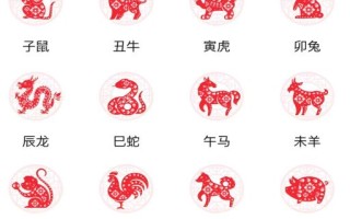 由是什么生肖？由字打一准确生肖