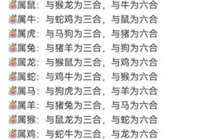 五合生肖是什么生肖？五合是哪几个生肖