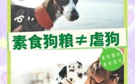 吃素的动物是什么生肖？吃素打一准确动物