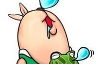 越狱是什么生肖？监狱代表什么生肖