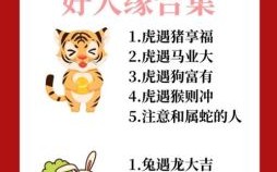 不是人是什么生肖？人精中的人精的生肖女