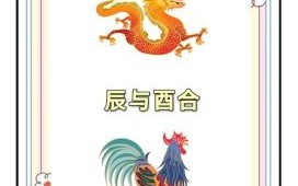 辰寅卯是什么生肖？东方取肖辰寅卯正确生肖