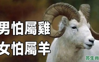 人人都怕它是什么生肖？人人都怕它打一正确动物