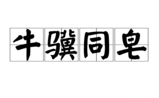 牛骥同皂是什么生肖？牛骥同皂下一句