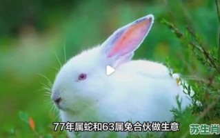 地上爬的是什么生肖？地上爬最准确的生肖