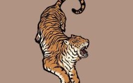 猛是什么生肖？猛字打一准确生肖