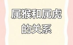 虎猴相会是什么生肖？虎猴相会打一正确生肖