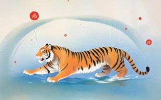 炉中火是什么生肖？炉中火打一最准确生肖