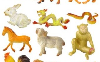 套是什么生肖？套代表什么动物