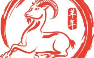 对水照毛衣是什么生肖？细毛织寒衣是什么生肖